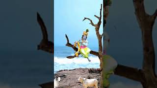 Download lagu Hatare badi kadhare bahugi dhari odia Bhajan 🙏🙏 #shortvideo #viralvideo #status mp3 Download lagu Hatare badi kadhare bahugi dhari odia Bhajan 🙏🙏 #shortvideo #viralvideo #status mp3