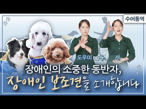 「보조견」의 한국수어 표현