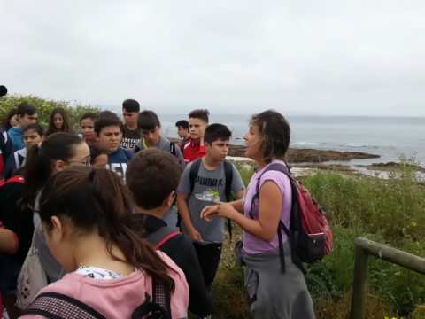 Vídeo Instituto Armando Cotarelo Valledor