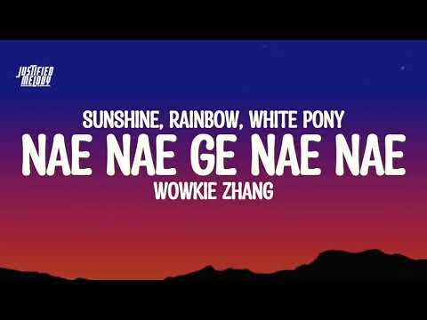 Nae Nae Ge Nae Nae" | Wowkie Zhang - Sunshine, Rainbow, White Pony (Lyrics)