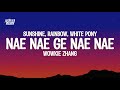 Nae Nae Ge Nae Nae Wowkie Zhang Sunshine Rainbow White Pony Lyrics