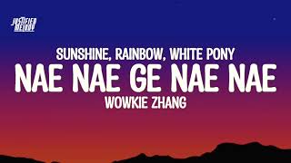 Download lagu Nae Nae Ge Nae Nae' | Wowkie Zhang - Sunshine, Rainbow, White Pony (Lyrics) mp3