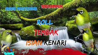 Download lagu AUDIO MASTERING PLECI ROLL TEMBAK ISIAN KENARI 100 PERSEN AMPUH 2022 mp3