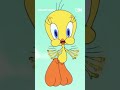 Its Tweety Birthday