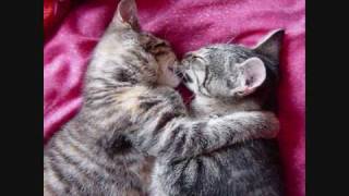 Kiss My Heart Goodbye - Dixon DeVore