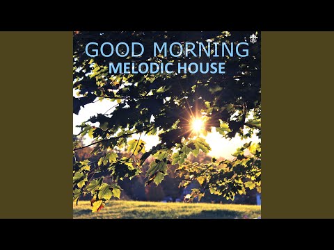 Scars (feat. Olivera)