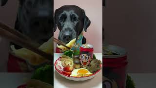 Download lagu ASMR Dog Eating Challenge 🐶 | Black Labrador Tries Everything! #dog #blackdog #petflixchef mp3 Download lagu ASMR Dog Eating Challenge 🐶 | Black Labrador Tries Everything! #dog #blackdog #petflixchef mp3