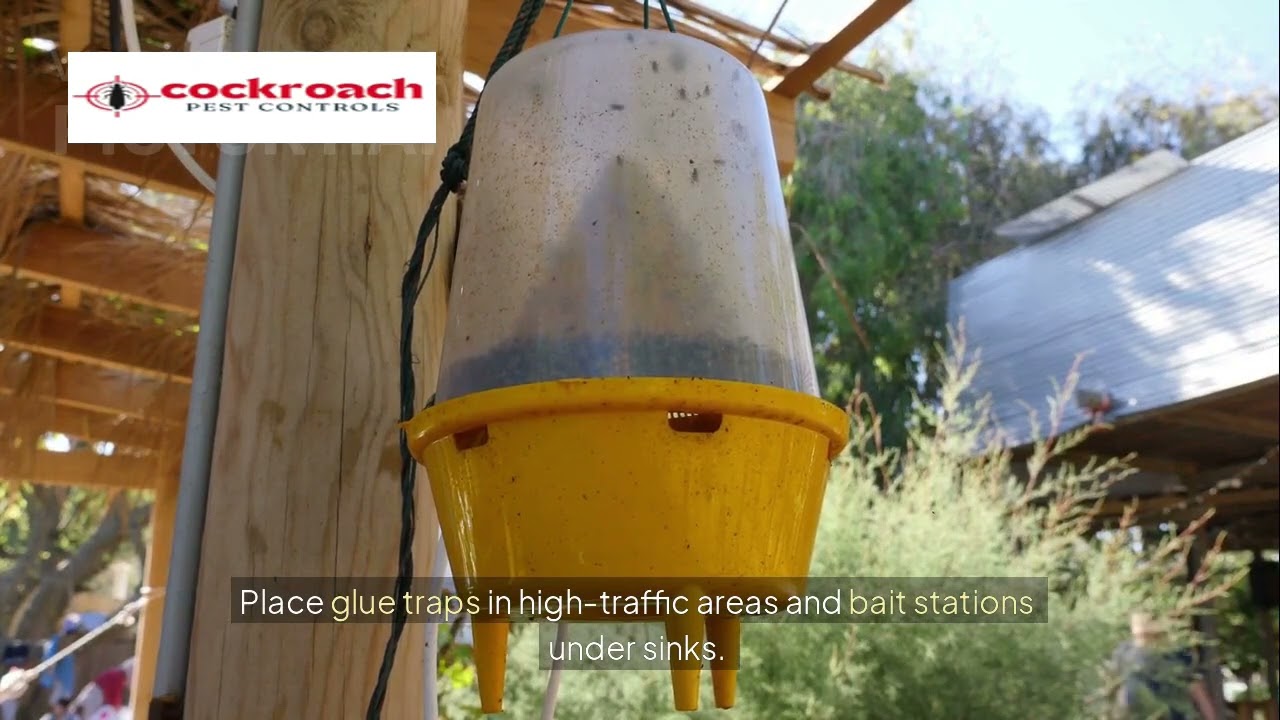 Pest‑Proof Your Home in 1 Hour: Quick DIY Guide