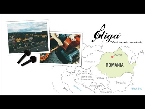 Gliga MaestroGenova (グリガ マエストロ・ジェノヴァ) バイオリン紹介