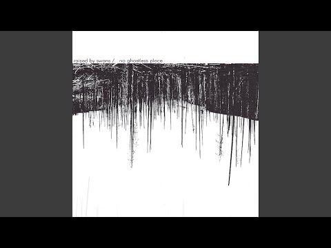 Secret Garden / S.C. - Raised By Swans