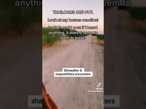 Tiktok: Skinwalker And Shapeshifter Encounters (@hauntedtiktoker)