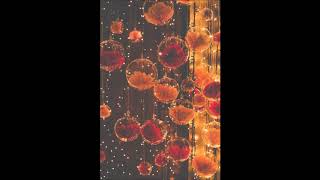 The Wild Reeds - Everything Looks Better in Hindsight