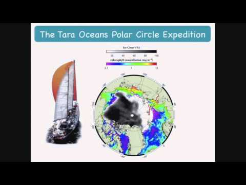 The Science of Tara Oceans - Work in the pipeline - G. Massé & L. Karp Boss