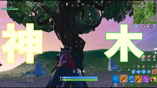 [Fortnite]大樹の神木[実況]