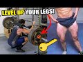 Why Hatfield Squats Will Unlock NEXT LEVEL Gains (3 UNIQUE Benefits!)