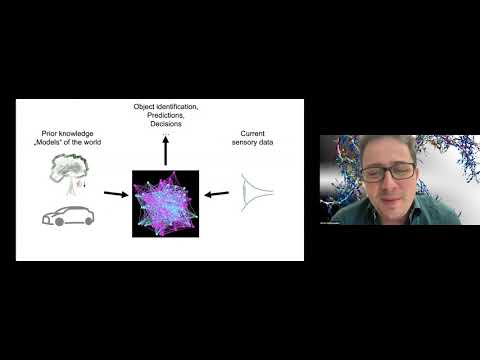 Moritz Helmstaedter: Can connectomics help us understand the brain and sustain the revolution in AI?