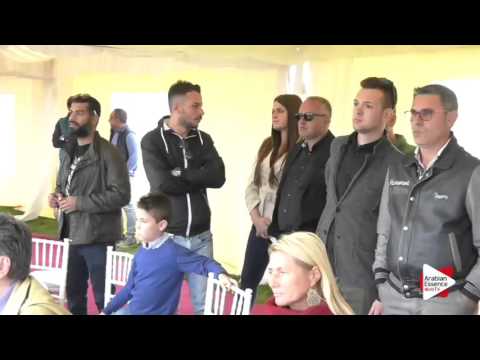 Arezzo 2015 - Junior Stallions Championship