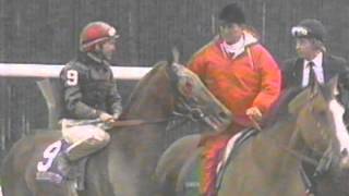 1995 Breeders&#39; Cup Juvenile Fillies - My Flag + Post Race &amp; Interviews