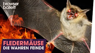 nur von Fledermäusen geliehen? Haben Menschen die Erde