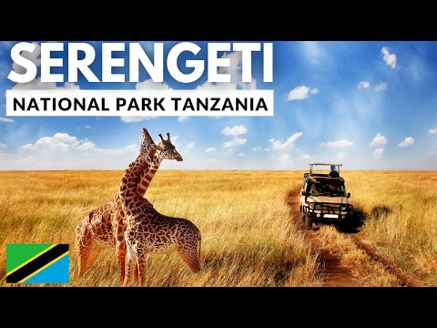 SERENGETI NATIONALPARK: Eines der sieben Naturwunder Afrikas