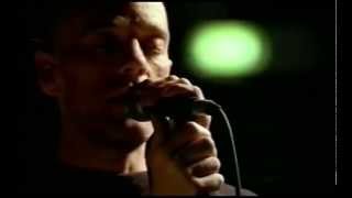 R.E.M - Suspicion (music video)