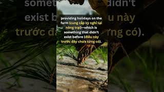 Luyện nghe tiếng anh - English Listening Practice - Level B2 - Real-Life Situations