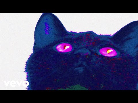 Video thumbnail for Kitty Sucker