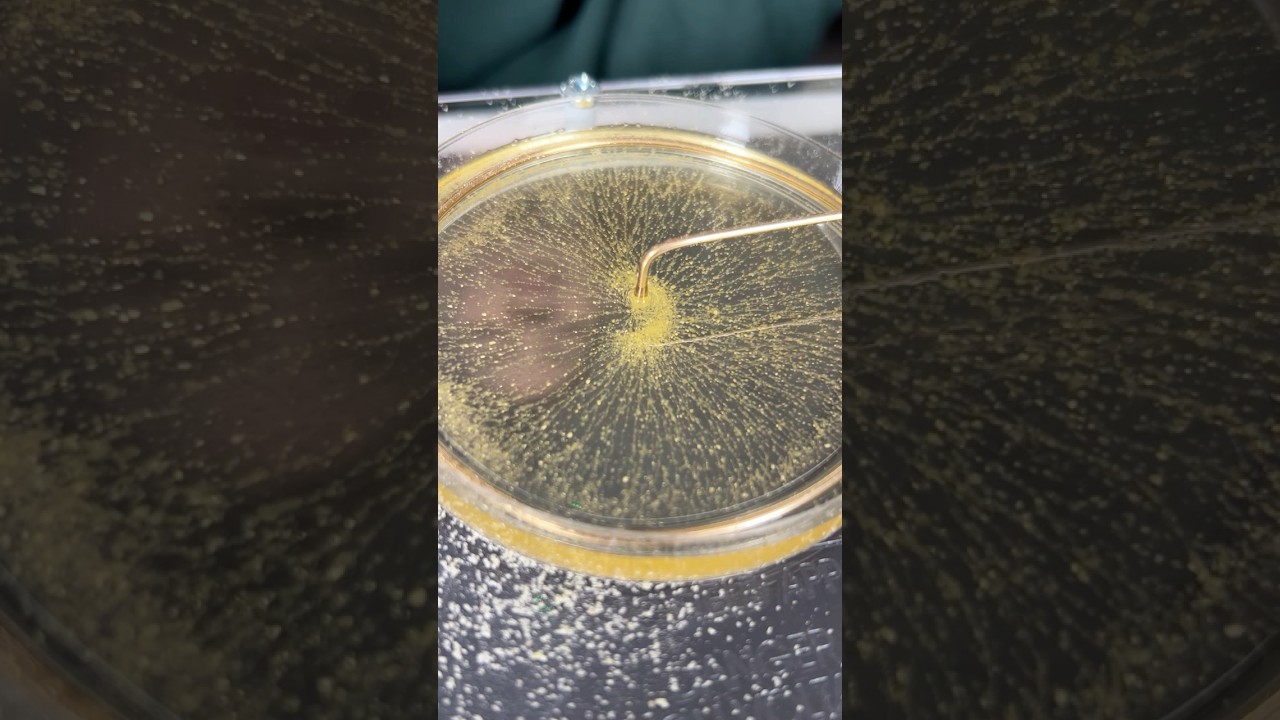 How do you SEE Electric Fields?