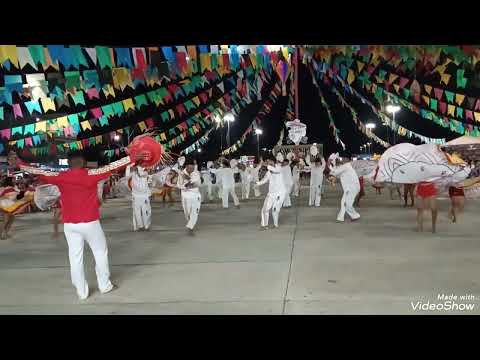 @VerequeteRaízes Campeão da 2° edição do Arraiá da Alegria 2025 (Imag: Patrícia Leao/Thais Barbosa)