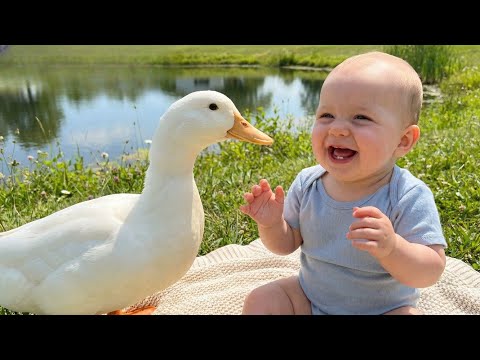 Baby Talks to a Big White Duck & It Answers Back 🦆👶😂 | Cutest Baby Laughing Moments Ever!