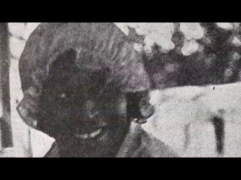 Black transgender woman Hannah Nokes made headlines in the 1930s | NBC4 Washington