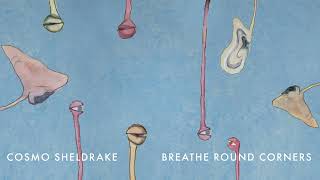Cosmo Sheldrake - Breathe Round Corners