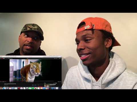 Black Dad Reacts To lil Pump  - Gucci Gang!