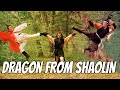 Wu Tang Collection Dragon From Shaolin WIDESCREEN
