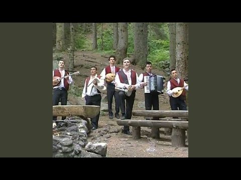 Една мисла имам