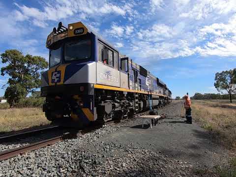 CM3303 & CM3301 at GrainFlow,  Bogan Gate West NSW. Tue 16th Mar 2021