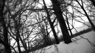 YO LA TENGO season of the shark