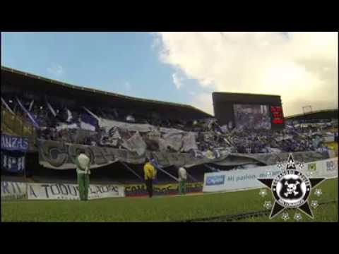 "COMANDOS AZULES 2015 Con La Locura Y Pasion!!!" Barra: Comandos Azules &bull; Club: Millonarios