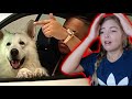 AMERICAN REACTING TO LUCIANO (ROLI) AMERICAN REACTING TO LUCIANO (ROLI)
