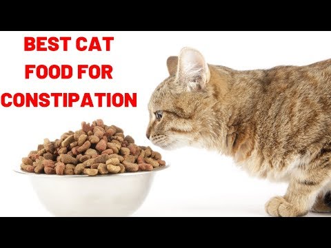 Best Cat Food for Constipation | Best High Fiber Wet Cat Food