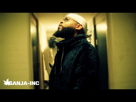 Trop ft. Alaska - NO WORRY (prod. Steveen)