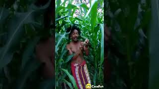 Download lagu Snap WA super lucu yang bikin ngakak mp3