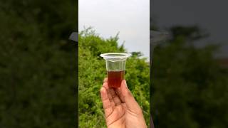 Download lagu Survival Skills: SMART ideas and Useful in forest#survival #useful #ideas #smart #shorts #camping mp3 Download lagu Survival Skills: SMART ideas and Useful in forest#survival #useful #ideas #smart #shorts #camping mp3