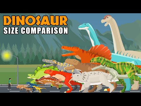 Dinosaurs Walking Size Comparison | Dino Animation