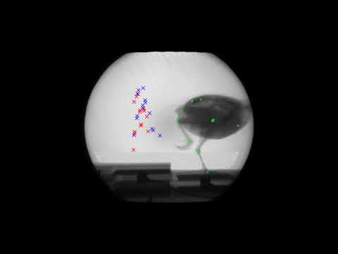 Active Learning for Regression Tasks with Expected Model Output Changes