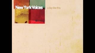 New York Voices with Bob Mintzer - Darn That Dream