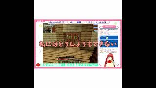 マイクラの悲劇