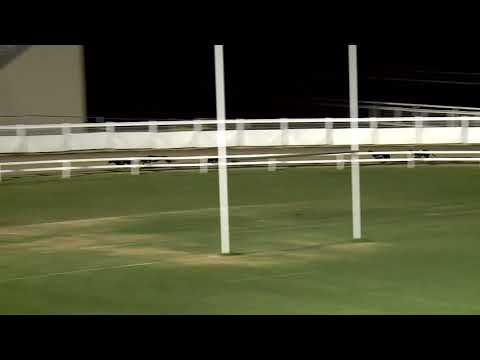 2020.08.07. 04. futam - Kincsem Park Magyar Derby II. negyeddöntő