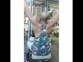 Back day part 1