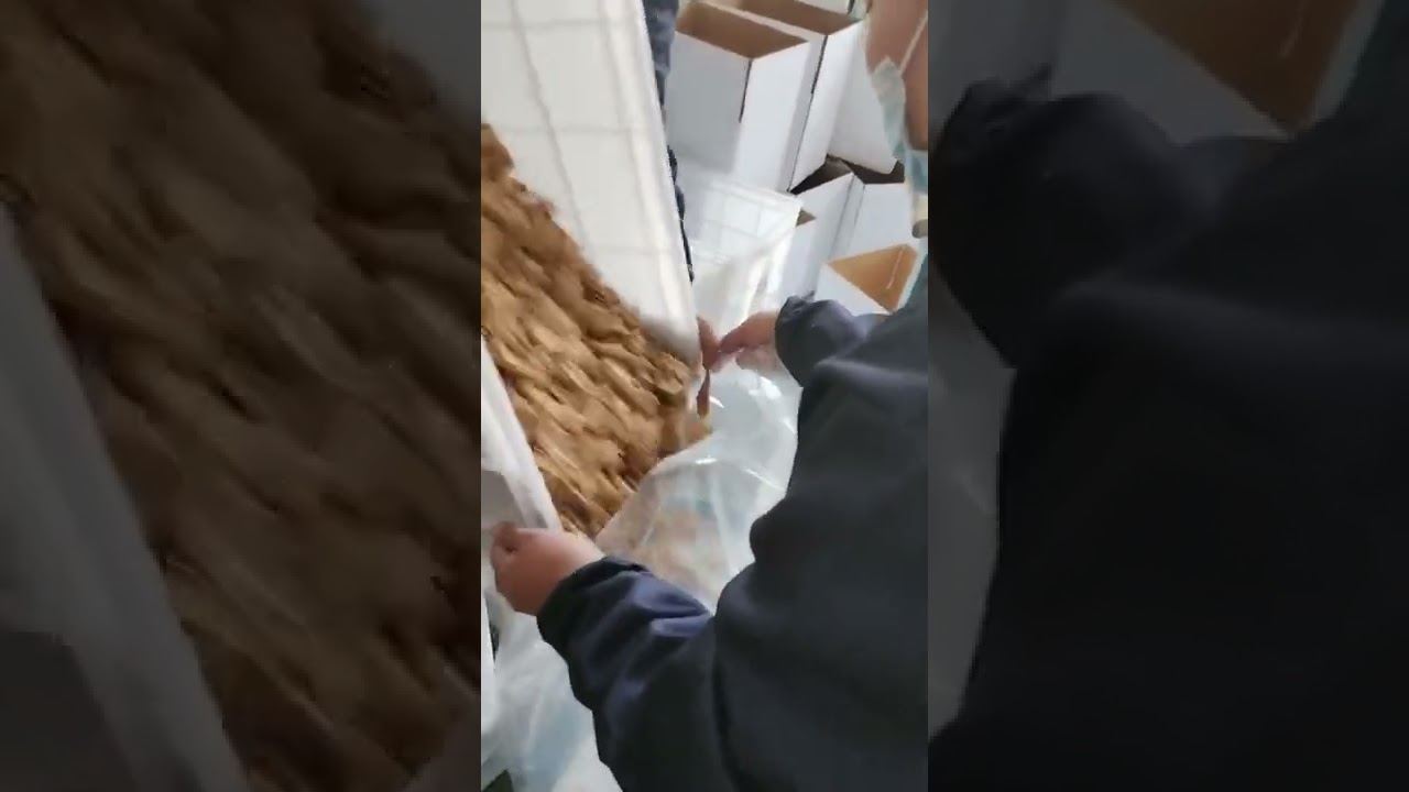 185 extra light walnut kernel